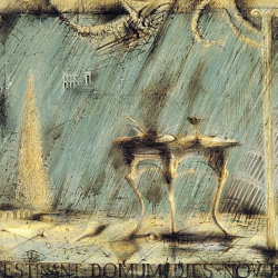 pluie Palazzo